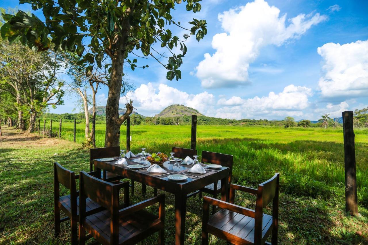 Tropical Life Resort And Spa Dambulla Dış mekan fotoğraf